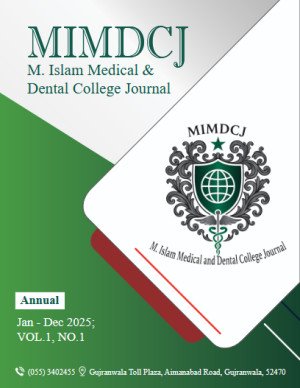 MIMDCJ Cover — Vol. 1, No. 1